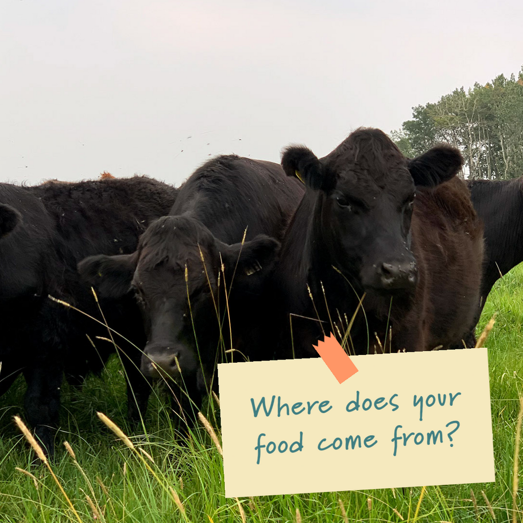 Do you know where your Beef comes from?