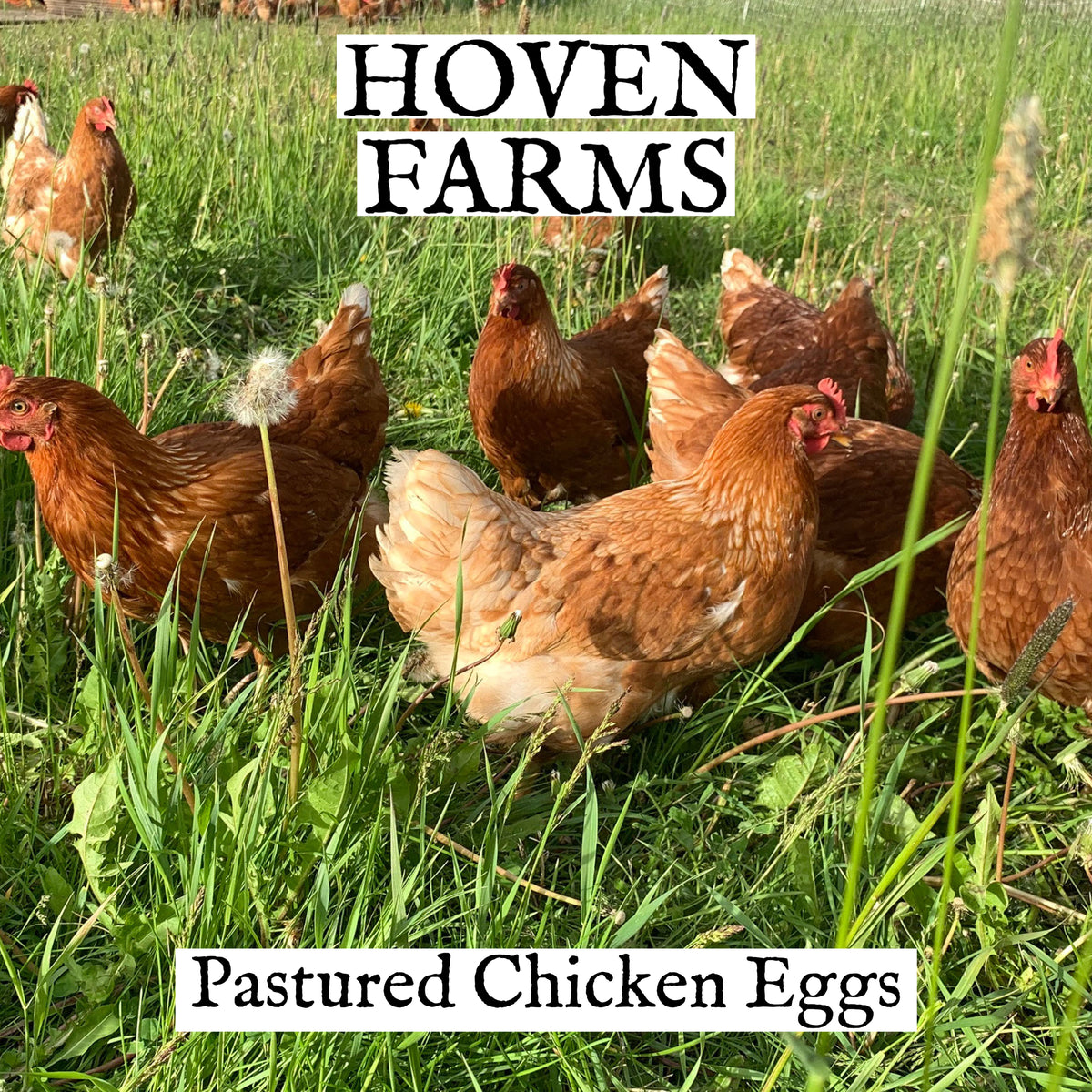 Eggs FOR CALGARY PICK UP HovenFarms