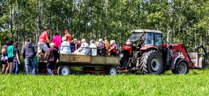 Open Farm Days 2019