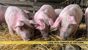 Look what arrived at the Farm!