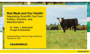 Red Meat and Your Health