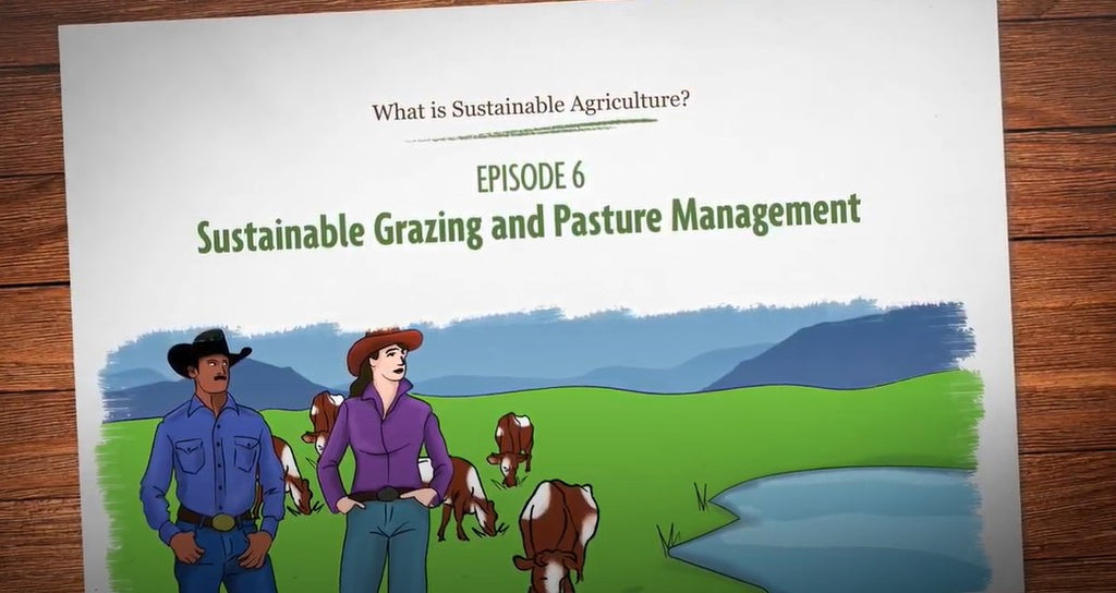 Sustainable Ranching and Pasture Management