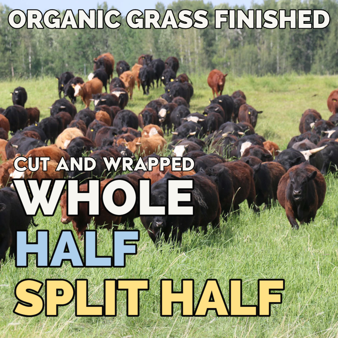Whole, Half and Split Half Beef – HovenFarms