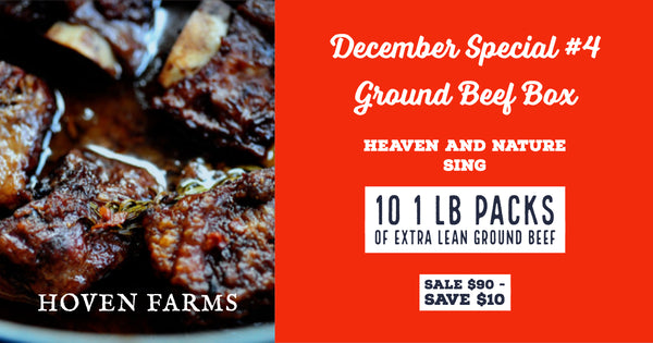 December Special #4- Ground Beef Box