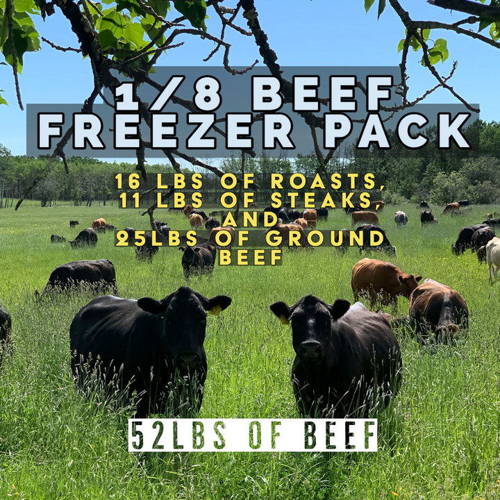 Hoven Farms Beef Freezer Packs HovenFarms