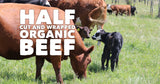 Hoven Farms- Half Beef - Deposit