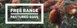 Eggs- FOR CALGARY PICK UP