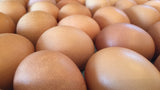 Eggs- FOR FARM PICK UP