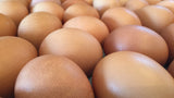 Eggs- FOR CALGARY PICK UP