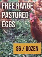 Eggs- FOR CALGARY PICK UP