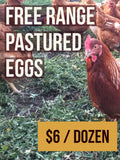 Eggs- FOR FARM PICK UP