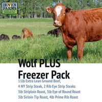 Wolf PLUS Freezer Pack